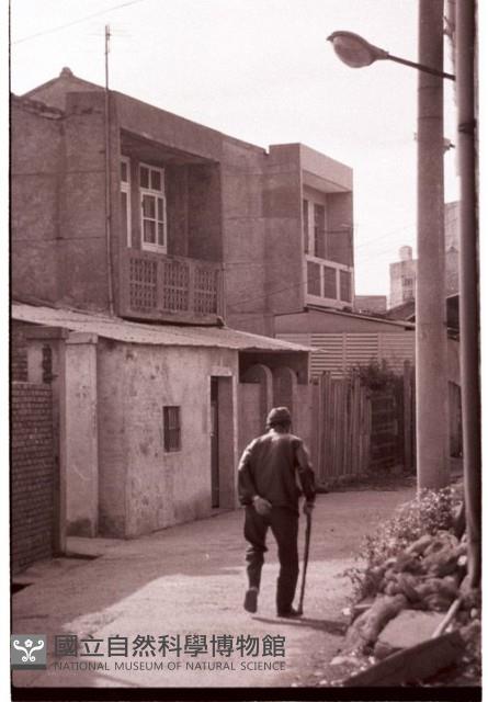 1950至2006年臺灣常民生活藏品圖，第1張
