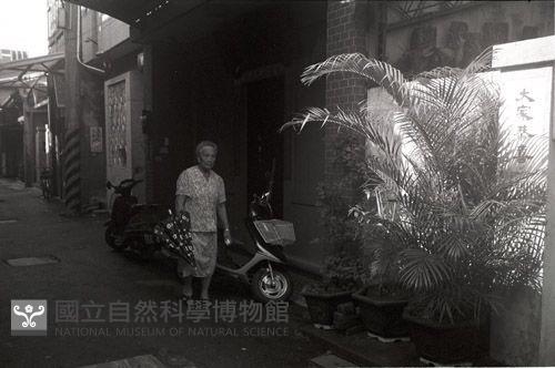 1950至2006年臺灣常民生活藏品圖，第1張