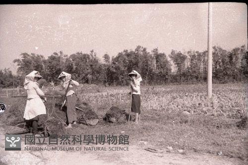 1950至2006年臺灣常民生活藏品圖，第1張