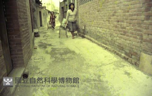 1950至2006年臺灣常民生活藏品圖，第1張