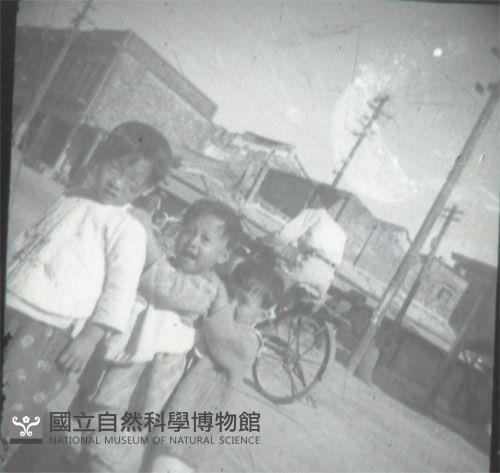1950至2006年臺灣常民生活藏品圖，第1張