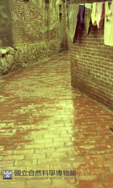 1950至2006年臺灣常民生活藏品圖，第1張