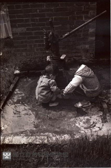 1950至2006年臺灣常民生活藏品圖，第1張