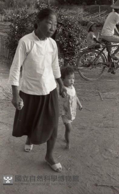 1950至2006年臺灣常民生活藏品圖，第1張