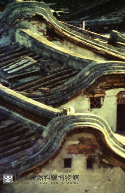 1950至2006年臺灣常民生活藏品圖，第1張