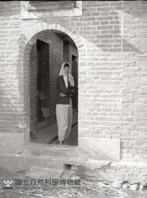 1950至2006年台灣常民生活藏品圖，第1張