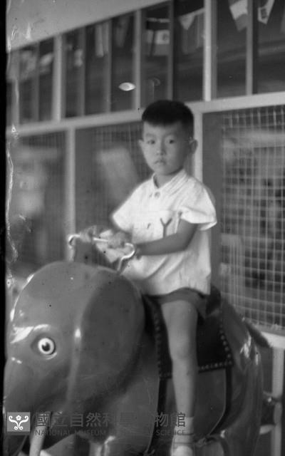 1950至2006年臺灣常民生活藏品圖，第1張