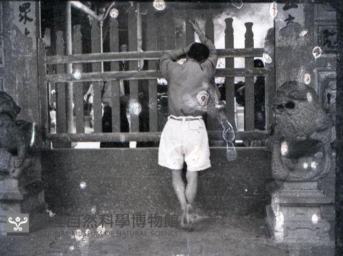 1950至2006年臺灣常民生活藏品圖，第1張