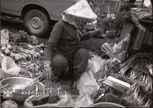 1950至2006年臺灣常民生活藏品圖，第1張