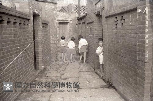 1950至2006年臺灣常民生活藏品圖，第1張