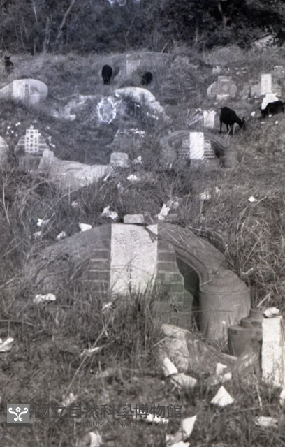 1950至2006年臺灣常民生活藏品圖，第1張