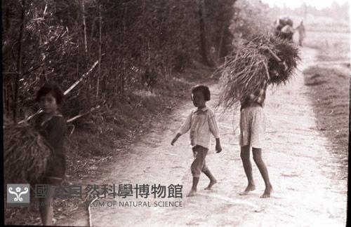 1950至2006年臺灣常民生活藏品圖，第1張