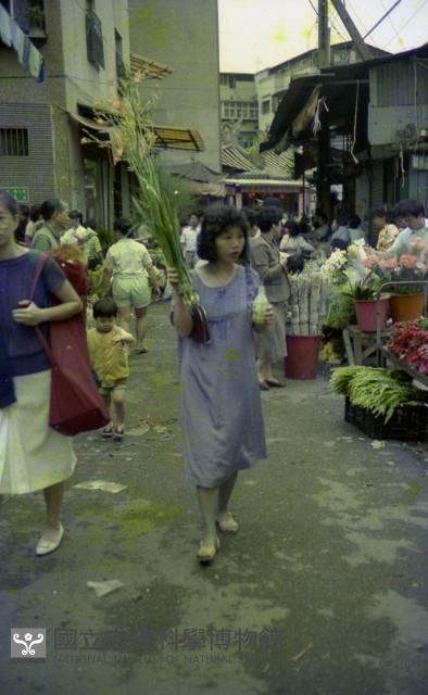 1950至2006年臺灣常民生活藏品圖，第1張