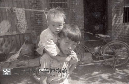 1950至2006年臺灣常民生活藏品圖，第1張