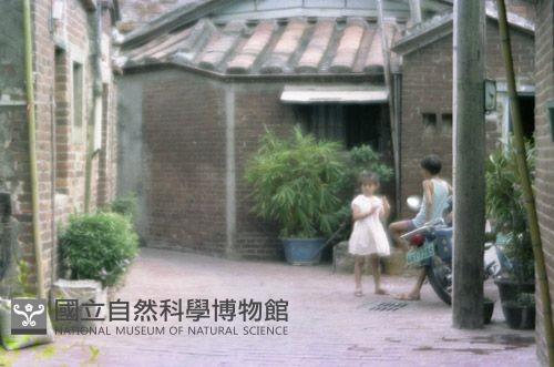 1950至2006年臺灣常民生活藏品圖，第1張