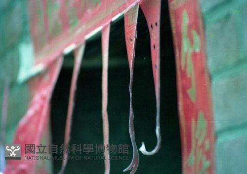 1950至2006年臺灣常民生活藏品圖，第1張