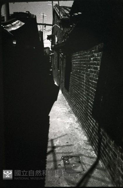 Accession Number:MP2007021397 Collection Image