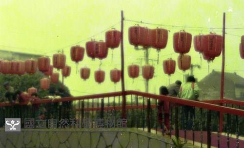 1950至2006年臺灣常民生活藏品圖，第1張