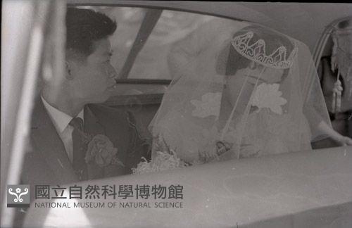 1950至2006年臺灣常民生活藏品圖，第1張