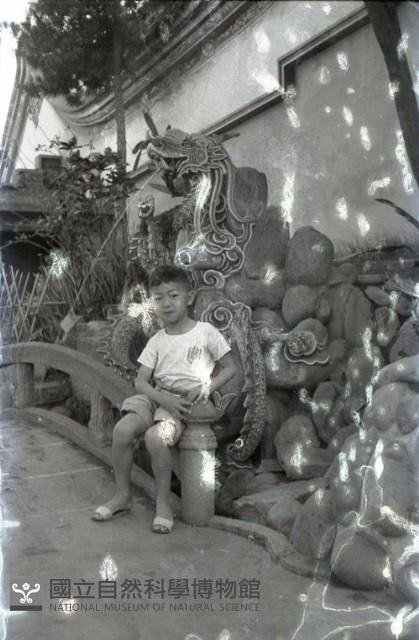 1950至2006年臺灣常民生活藏品圖，第1張