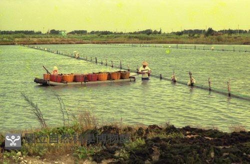1950至2006年臺灣常民生活藏品圖，第1張