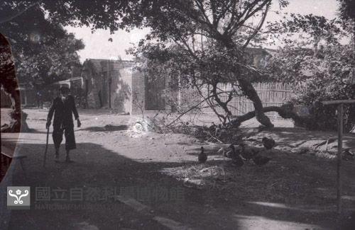 1950至2006年臺灣常民生活藏品圖，第1張