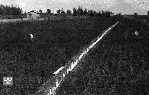 1950至2006年臺灣常民生活藏品圖，第1張