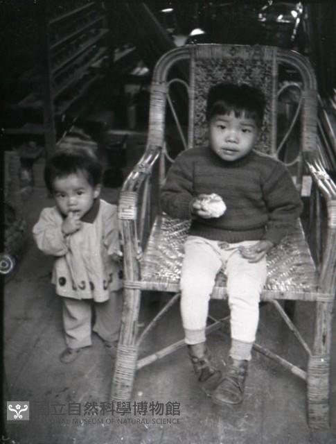 1950至2006年台灣常民生活藏品圖，第1張