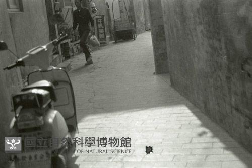 1950至2006年臺灣常民生活藏品圖，第1張