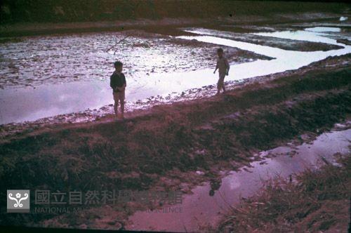 1950至2006年臺灣常民生活藏品圖，第1張