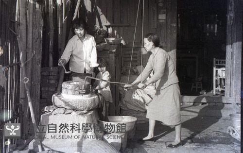 1950至2006年臺灣常民生活藏品圖，第1張