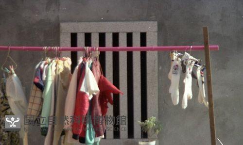 1950至2006年臺灣常民生活藏品圖，第1張
