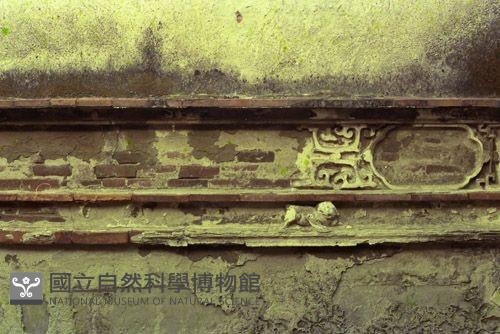 1950至2006年臺灣常民生活藏品圖，第1張