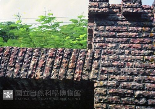 1950至2006年臺灣常民生活藏品圖，第1張