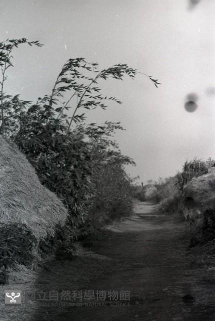 1950至2006年台灣常民生活藏品圖，第1張