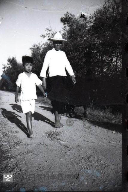 1950至2006年臺灣常民生活藏品圖，第1張