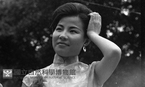 1950至2006年臺灣常民生活藏品圖，第1張