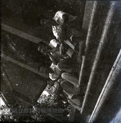 1950至2006年臺灣常民生活藏品圖，第1張