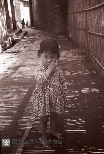 1950至2006年臺灣常民生活藏品圖，第1張