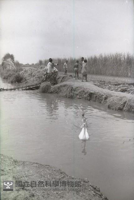 1950至2006年臺灣常民生活藏品圖，第1張