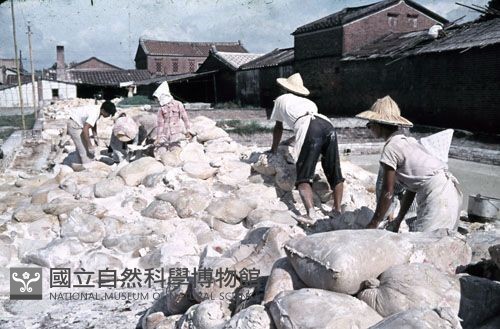 〈澱粉工廠〉（1950至2006年臺灣常民生活）藏品圖，第1張