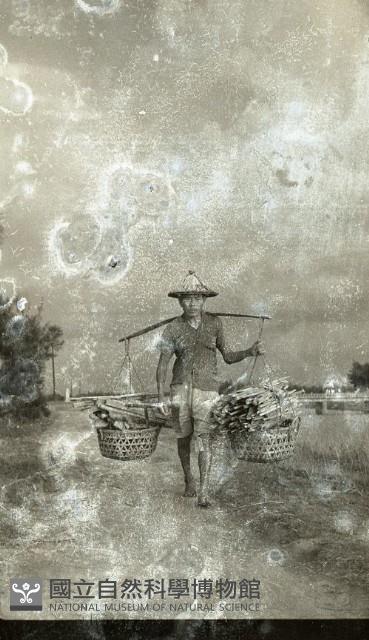 1950至2006年臺灣常民生活藏品圖，第1張