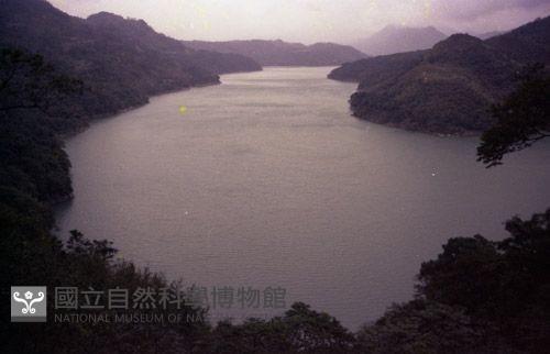 1950至2006年臺灣常民生活藏品圖，第1張