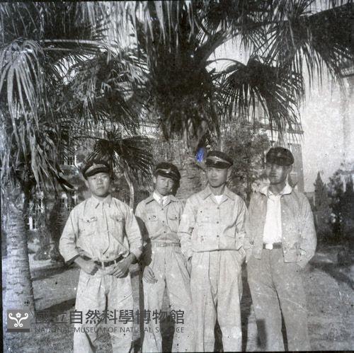 1950至2006年臺灣常民生活藏品圖，第1張
