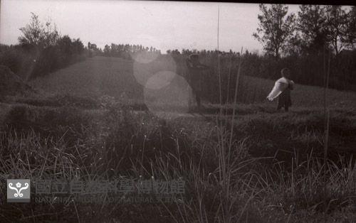 1950至2006年臺灣常民生活藏品圖，第1張