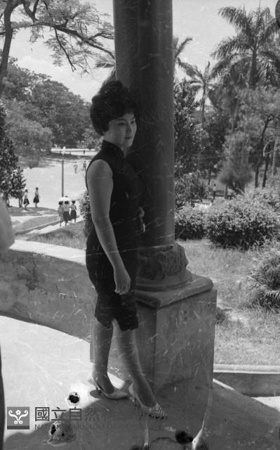 1950至2006年臺灣常民生活藏品圖，第1張