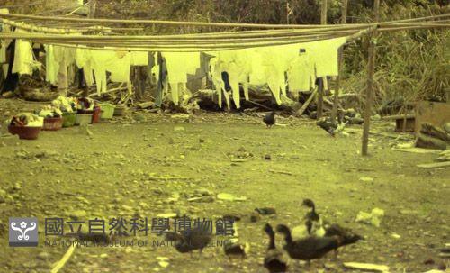 1950至2006年臺灣常民生活藏品圖，第1張