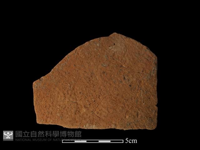 陶片藏品圖，第1張