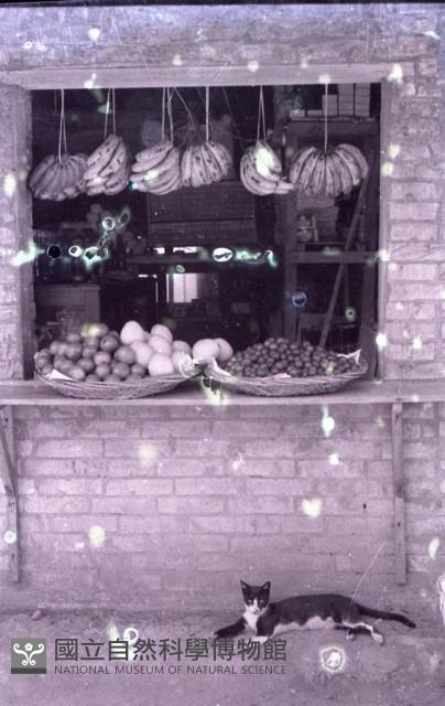 1950至2006年臺灣常民生活藏品圖，第1張