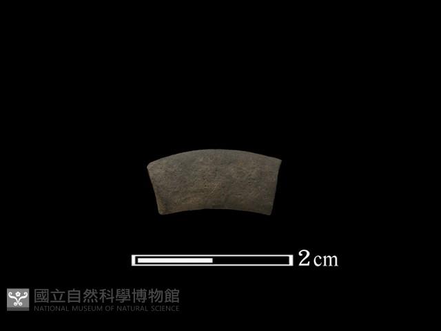 陶環藏品圖，第1張